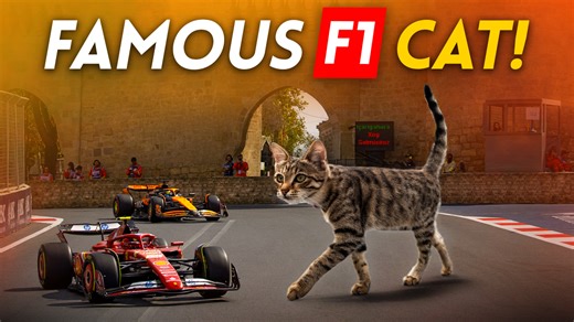 Meet the F1 paddock’s unexpected superstar — the Azerbaijan F1 cat. This stray cat in the F1 paddock went viral yesterday after the Baku F1 cat was removed multiple times from the paddock, yet returned and became loved by F1 teams and personnel. The Azerbaijan F1 cat was named by the comment section as ‘Furrari” yesterday, a fitting name for the cheeky and playful Formula 1 cat. It is not the first time we have had cats at an F1 track before, though in fact we have had a cat on the F1 track befo