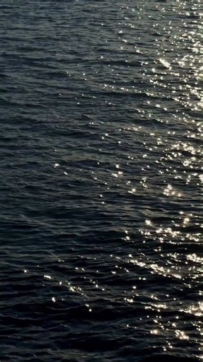 The Edgewater Hotel, where Seattle meets the sea. | The Edgewater