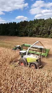Ein #Claas Jaguar 970 vom Lohnunternehmen Marquardt im Einsatz, danke an die BAUWESTA & Landmaschinen GmbH für das Video per Nachricht. | profi
