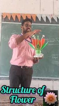 Structure of a flower Uses of flower parts #youtubeshorts #reproduction #govtschool