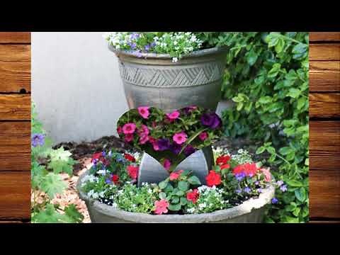 48+ Unique Container Gardening Ideas | MY GARDEN TV