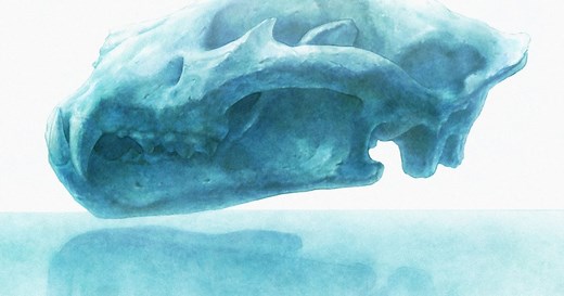 [Lirik Terjemahan] YOASOBI - Yasashii Suisei (Komet yang Lembut) / Comet