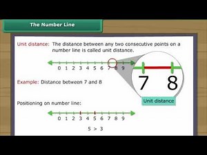 Whole Numbers | Explanation & Properties | Class 6 Maths #kidslearning