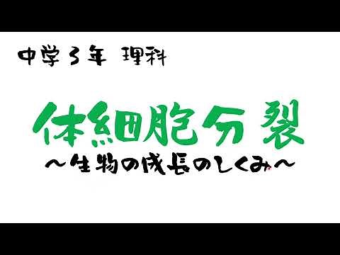 中学理科「体細胞分裂」生物の成長のしくみ・タマネギの細胞分裂の観察