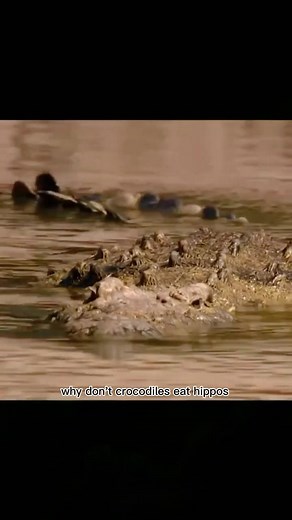 MikeTechEvery (@miketechevery)’s videos with original sound - MikeTechEvery