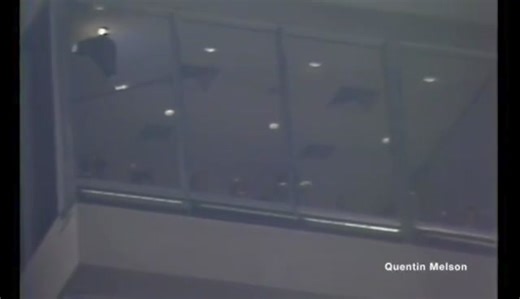 13K views · 248 reactions | November 28, 1983: Here's rare and raw sideline footage from the Miami Dolphins 38-14 Monday night victory over the Cincinnati Bengals at the Orange Bowl. Special thanks to Alex Carter for sending this video. | Ghosts of the Orange Bowl | Facebook