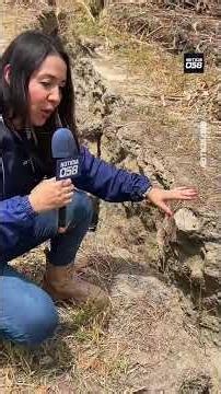 News Report of Aftermath And Surface Rupture In Epicenter Veroes, Yaracuy, Venezuela