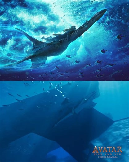 Walt Disney Studios on Reels