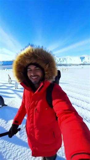 Antarctica ice vlog 🐧😲 #shorts #penguin #ice #antarctica