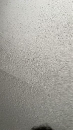 Leviticus Taylor on TikTok