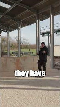 FARM CONSTRUCTION UPDATE! Cattle Housing, Loose Housing & Farm Renovation Progress