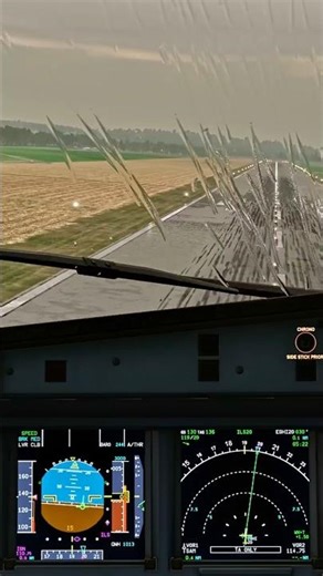 EXTREME Crosswind Correction 💨 Last-Second A320 Decrab Landing