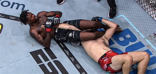 Did Kevin Holland break Michal's arm?