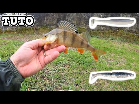 Comment pêcher la perche aux leurres souples 2'' en ULTRA-LIGHT TUTO Matos leurres animations