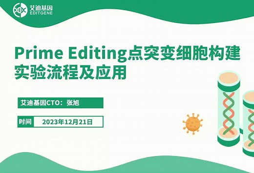 干货！Prime editing点突变细胞构建实验流程及应用