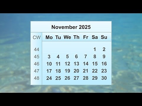 November 2025 Calendar
