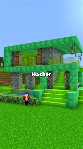Noob vs Pro vs Hacker #minecraft #minecraftedit