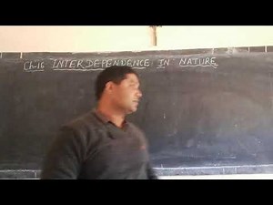 Class-5, science (24/02/21), Interdependence in nature