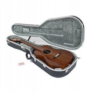 Small Bodied Classical Guitar Case - Pro II