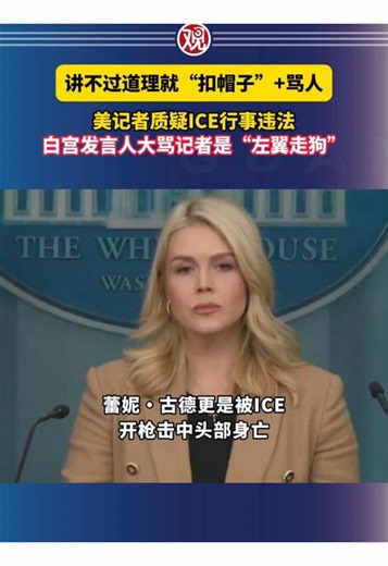 美国记者对ICE执法的质疑与社会反响