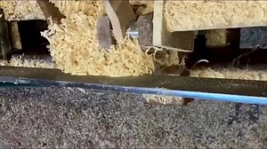 I’ve had a request from Tim Joyce to show turning a spindle in a slower speed so here’s a slow motion video of a spindle I did last year. These are easy and I use the skew totally including to mark the pattern. Sorry but converting to slow motion seems to reduce picture quality. | The woodturners
