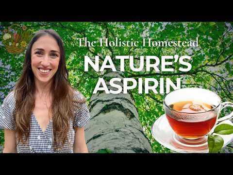 Birch Tree Benefits 🌳 Wild Medicine, Sap Collection & Survival Tips (Ep 4)
