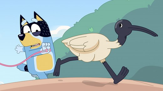 Bluey Season 1, Episode 50 | Shaun