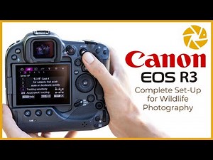 Optimal Configuration of the Canon EOS R3 for Wildlife Photography