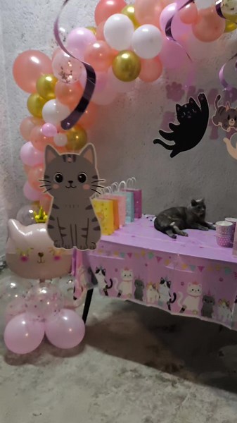 Mi Cumpleaños N°4: ¡Momentos Especiales!