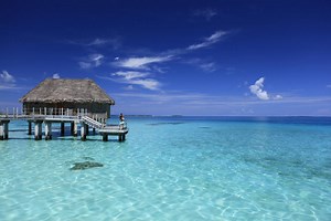 Le Tikehau by Pearl Resorts | Venture Tahiti