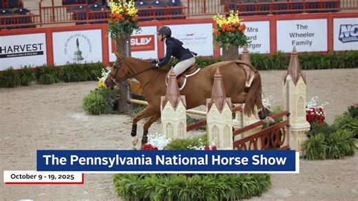 6.1K views · 94 reactions | Watch the Turnham Green/USEF Junior Jumper National Championships and Dover Saddlery/USEF Hunter Seat Medal Final LIVE this weekend at the Pennsylvania National Horse Show!  Livestream brought to you by Hollow Brook Wealth Management Turnham Green | Dover Saddlery | USEF Network | Facebook