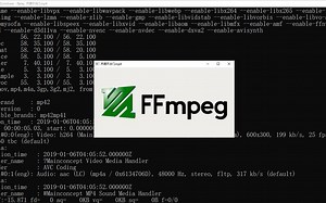 【FFmpeg 分P教学】转码、压制、录屏、裁切、合并、提取 … 统统不是问题。