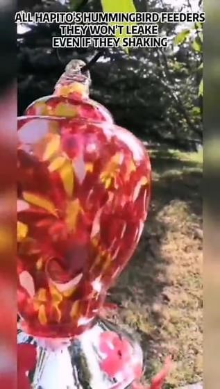 677a0873ea5b40b48fafea205222f003