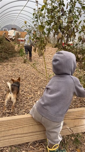 20 reactions | It’s been two weeks since our new layers got their...