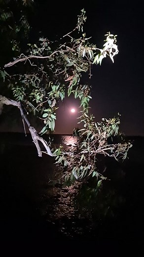 Full moon over the estuary. Mandurah WA | Mandurah Local and Tourist Information