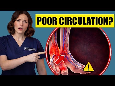 Over 60? NEVER Ignore These 7 Circulation Warning Signs in Your Legs and Feet