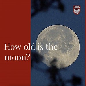 8.1K views · 210 reactions | A UChicago and Field Museum study that...