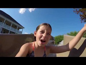 Awesome Footage of Dolphin Water Slides in Action