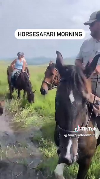 30-Day Africa Dream Safari & Beach Adventure