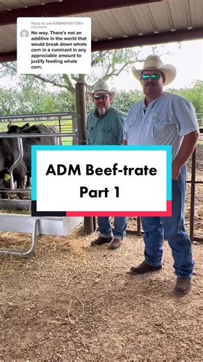 Replying to @user6388481567736 Answering your questions about ADM Beef-trate! #ADM #archerdanielsmidland #Beeftrate #ADMBeefTrate #WholeCorn #EatBeef #KeepRanchin #KingOfTikTok #RanchLife #Ranch #RanchTok #AgTok