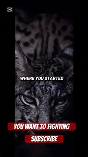 Keep fighting #motivation #motivationalquotes