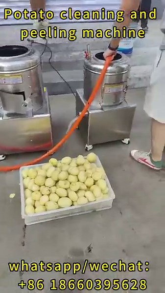 TP Series Potato Peeler | Industrial Root Vegetable Peeling Machine by JRC Machinery#youtubeshorts