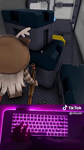 Adorable Keyboard Cat in Roblox Gameplay