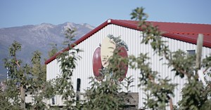 Swanson's Mountain View Orchard showcases fall apple crop