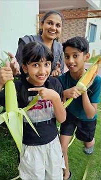 Tom 🍓 Jerry (Soumya&Ammu)Real End Twist😍🎈 #shorts #viral #v5familyshow