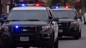 13K views · 403 reactions | El Monte Police Officers help make a 100th Birthday into a family parade: We are so happy we could do something special for Mrs. Mary Loera on her special day! Mrs. Loera's family followed current health and safety guidelines. Please follow their example and STAY HEALTHY El MONTE! https://monte.campaignrep.org/ | El Monte Police Department | Facebook