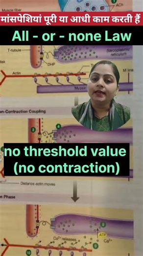 All - or - none law explained | Human physiology #nsbioworld #biology