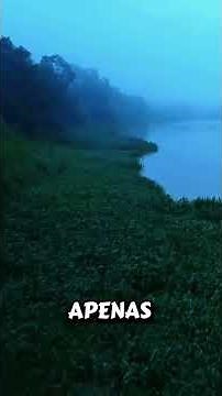 Amazônia: natureza exuberante, biodiversidade única e riqueza que encanta o mundo inteiro.