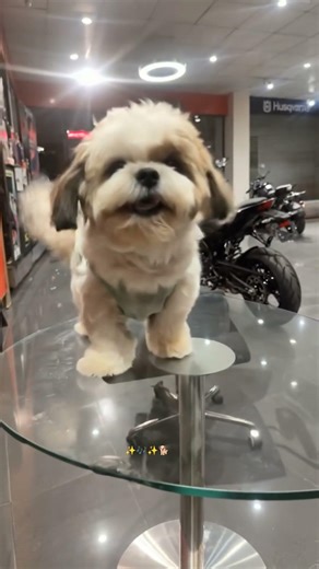 Duji vaar pyar song❣️❣️