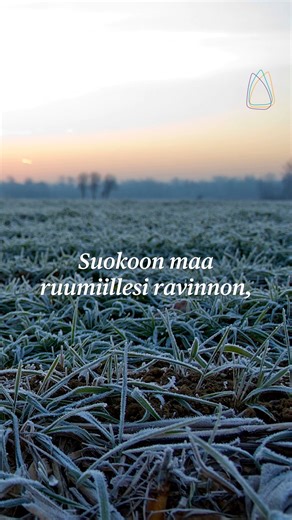 Tuokoon tuuli kauniit sanat rakkauden ympärillesi kuin viitan lämpöisen. Ota tästä siunauksia vuodenvaihteeseesi! Tämän vanhan irlantilaisen siunauksen on suomentanut Anna-Mari Kaskinen ja sovittanut Heikki Kylkisalo. 🎶 Heikki Kylkisalo ja Samuli Karjalainen 🎥 Simon Skafar / iStock | Kirkko ja kaupunki